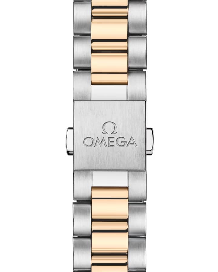 OMEGA SEAMASTER AQUA TERRA